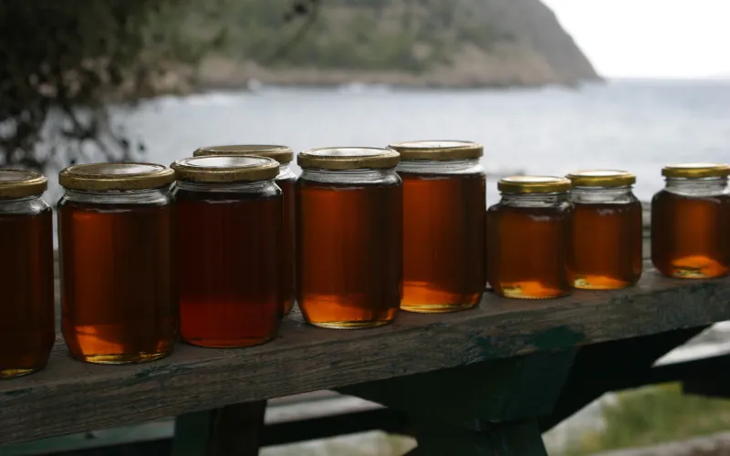 Buckwheat Honey A Delightful Discovery of Recipe Magic