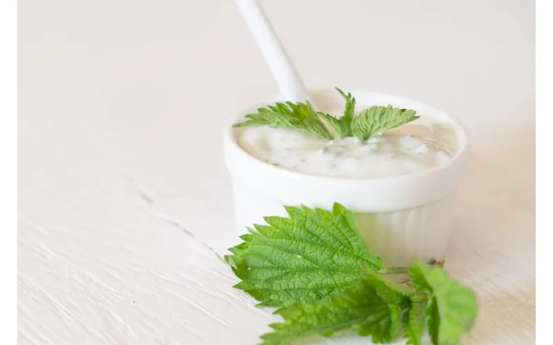 10 Powerful Benefits of Chobani Greek Yogurt Nutrition
