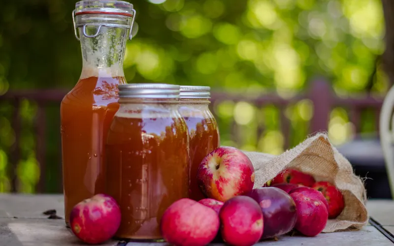 Apple Soda with 8 Best Refreshing Delights